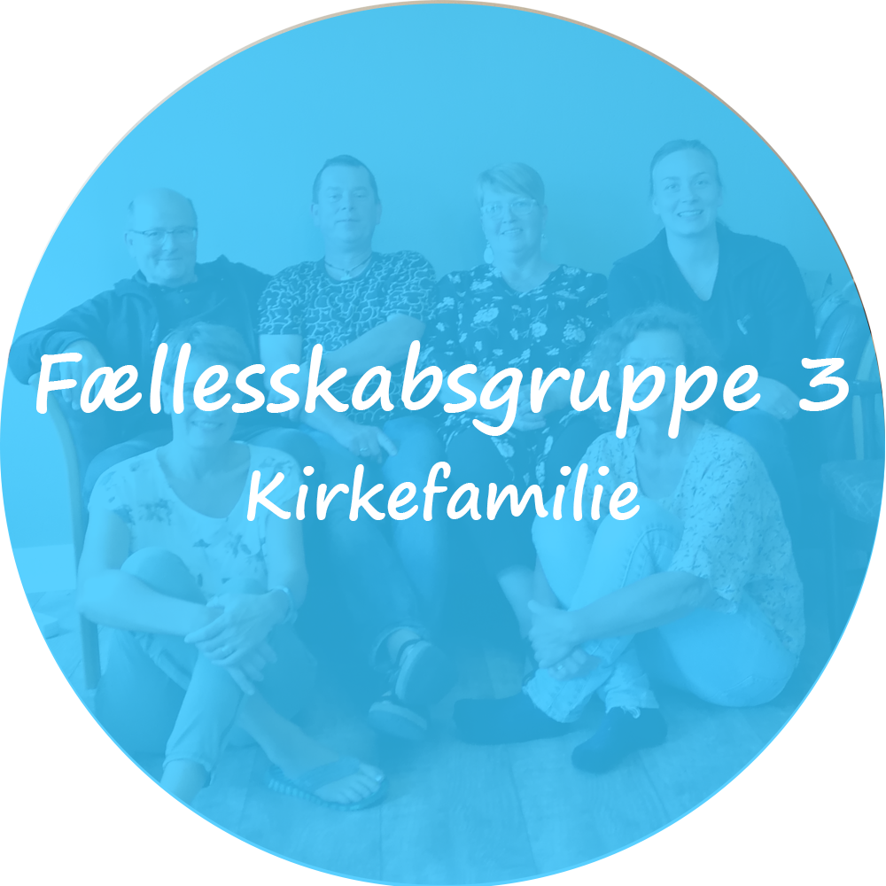 Billedet viser gruppens medlemmer for Kirkefamilie. Fællesskabsbgruppe 3. Billedet indeholder et link som scroller ned til teksten omkring denne gruppe.